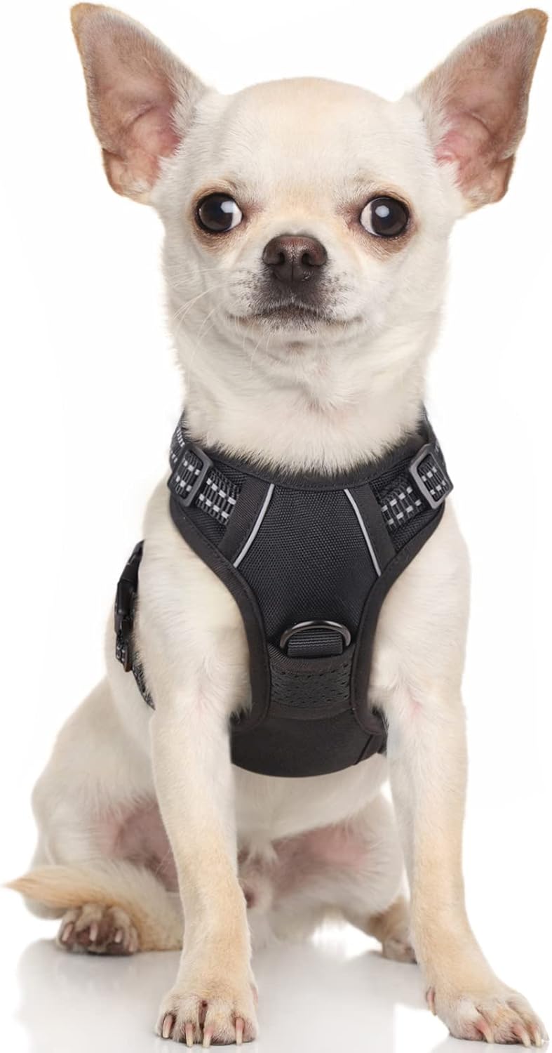 rabbitgoo Dog Harness Dog No Pull Pet Harness | PetNestUK