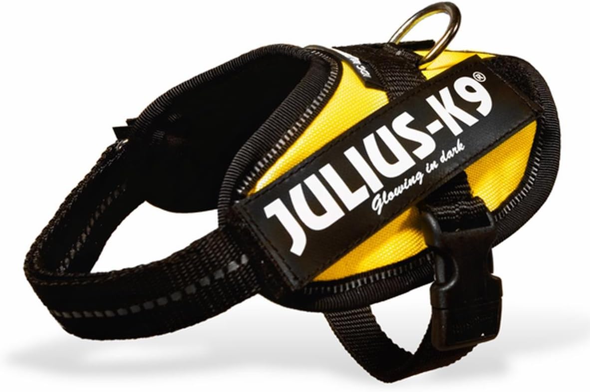 Julius-K9 IDC Powerharness for Small Dogs