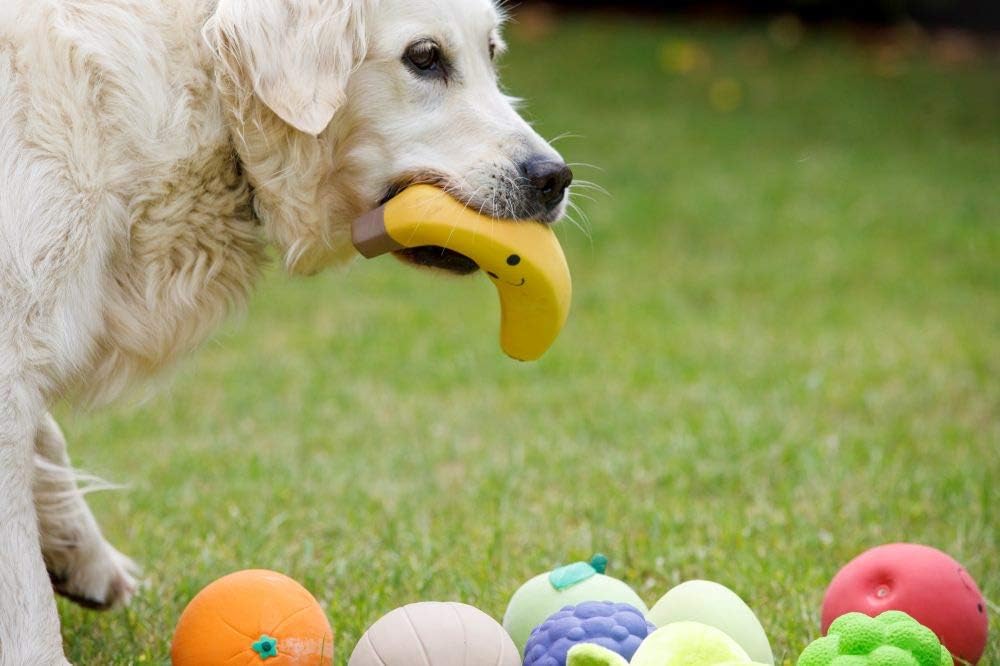 Petface Latex Fruit and Vegetable Dog Toys