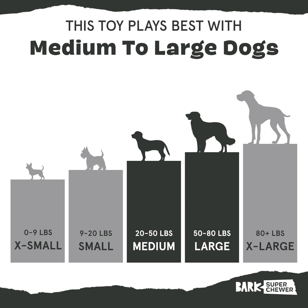 Barkbox Squeaky Dog Toys - Plush and Squeak Chew | PetNestUK
