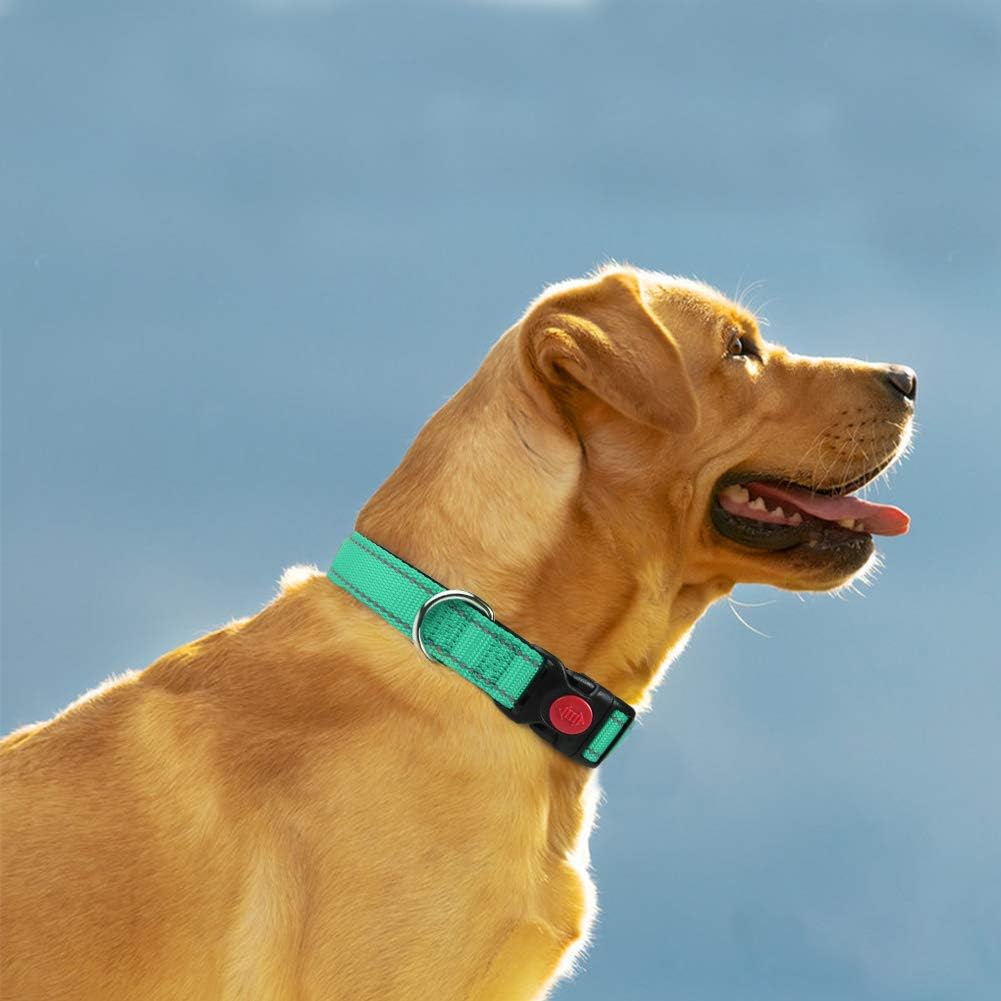 Taglory Reflective Nylon Dog Collar with Safety | PetNestUK