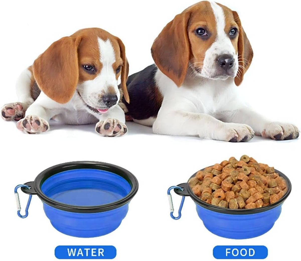 Coolon Collapsible Travel Bowls for Pets