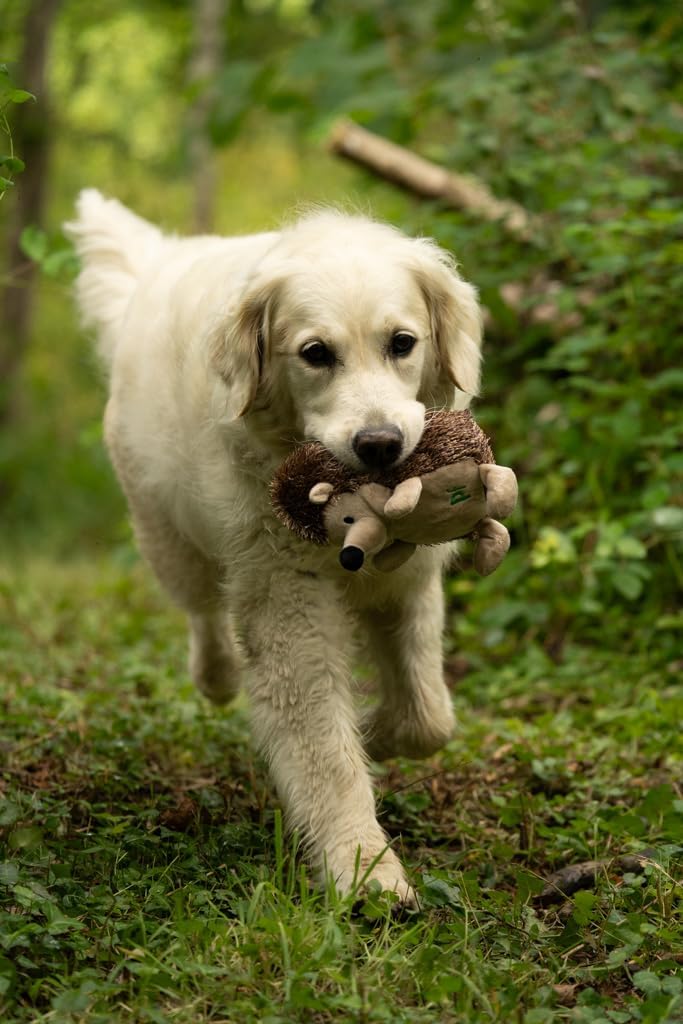 Petface Plush and Squeaky Dog Toys
