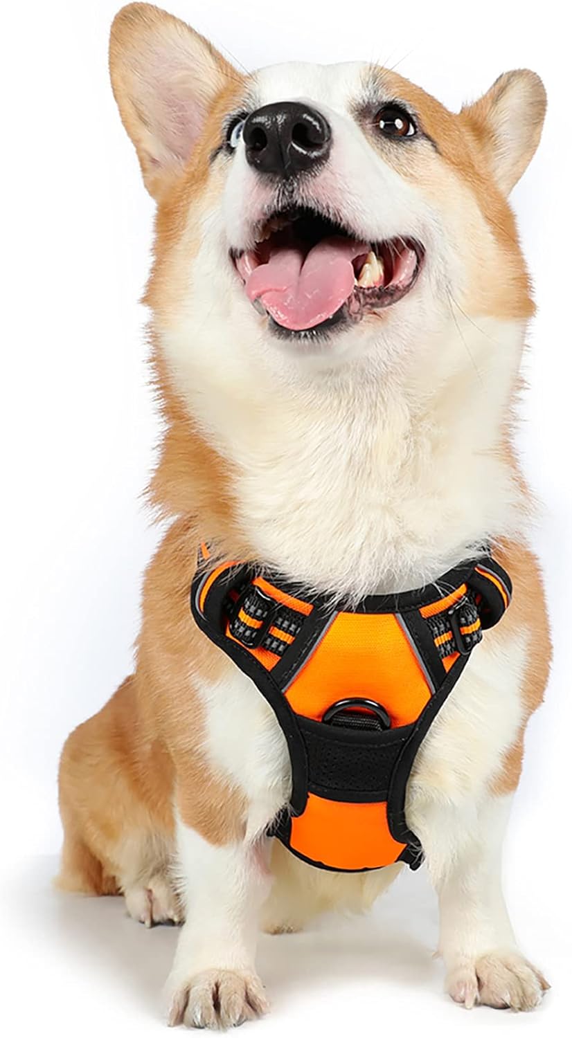 rabbitgoo Dog Harness Dog No Pull Pet Harness | PetNestUK