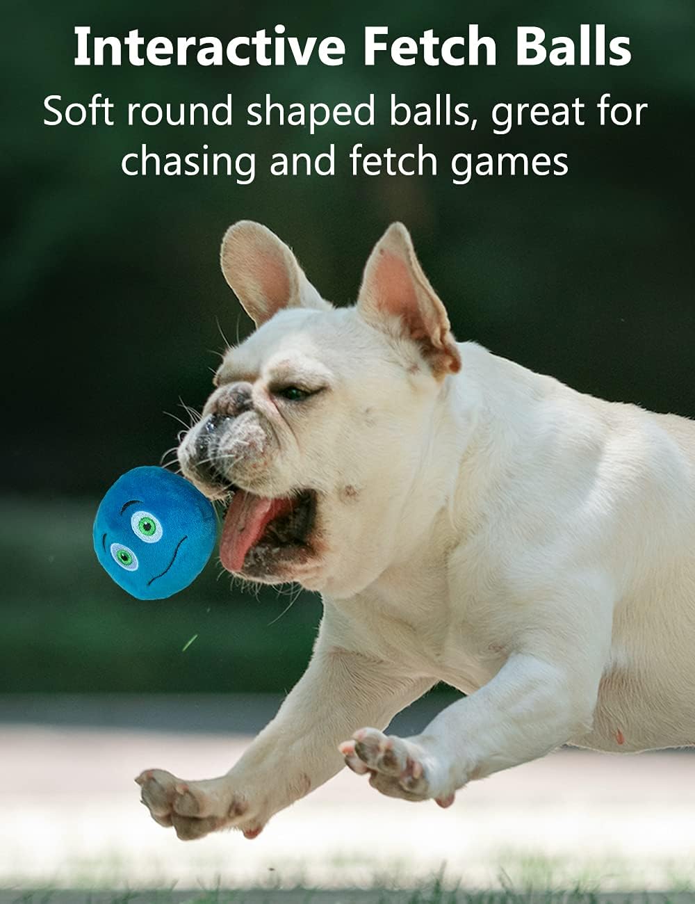 TONGKTAI Dog Toys, Soft Stuffed Plush Balls Pet | PetNestUK