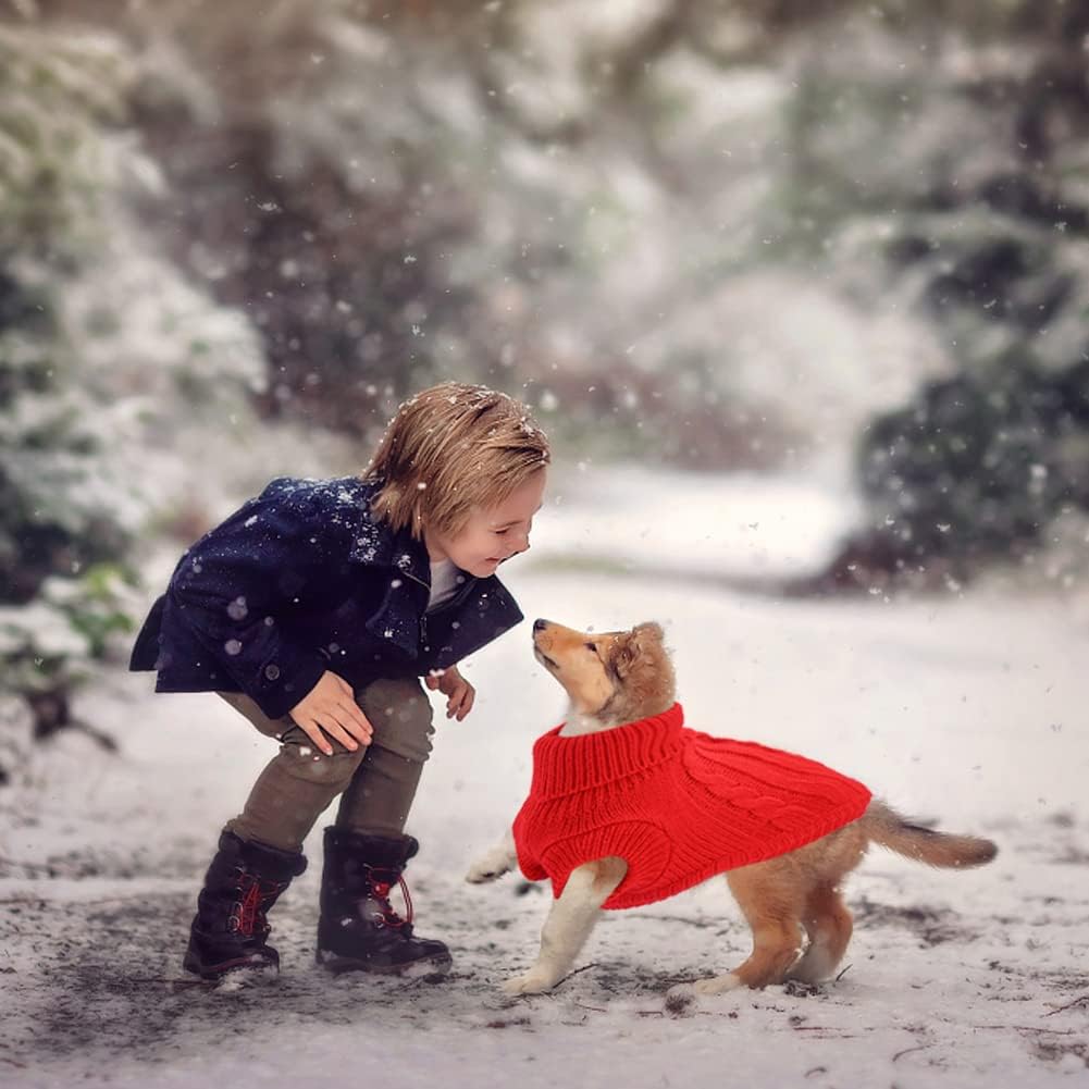 Knitted Jumper for Small Dogs