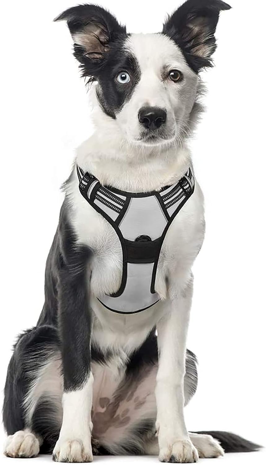 rabbitgoo Padded Dog Harness with Two Lead Clips