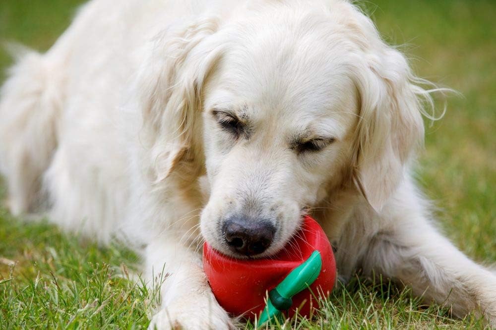 Petface Latex Fruit and Vegetable Dog Toys