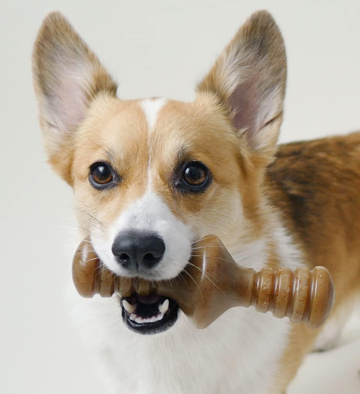 Benebone Durable Dog Chew Toy Box for Aggressive | PetNestUK