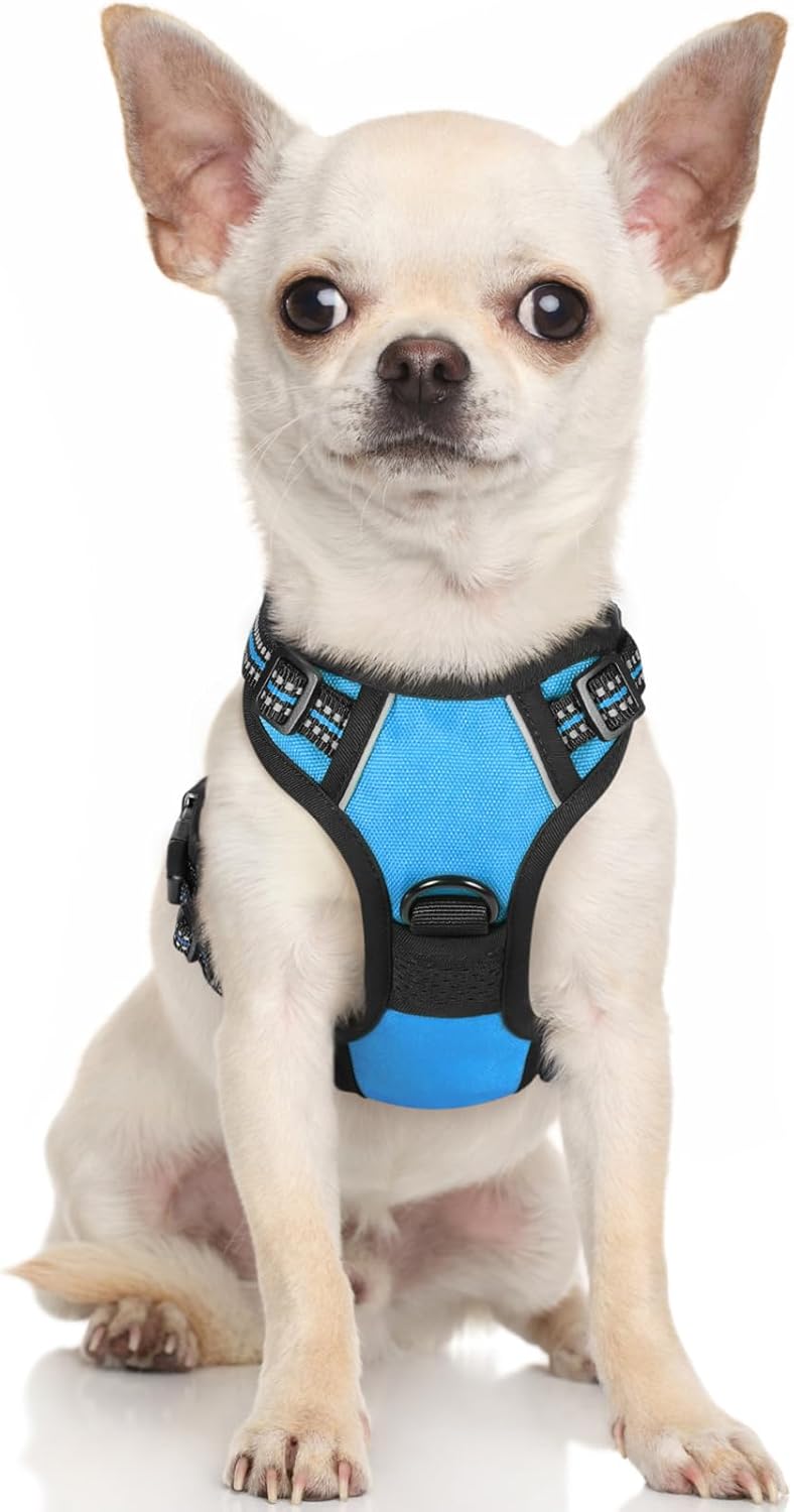 rabbitgoo Padded Dog Harness with Two Lead Clips
