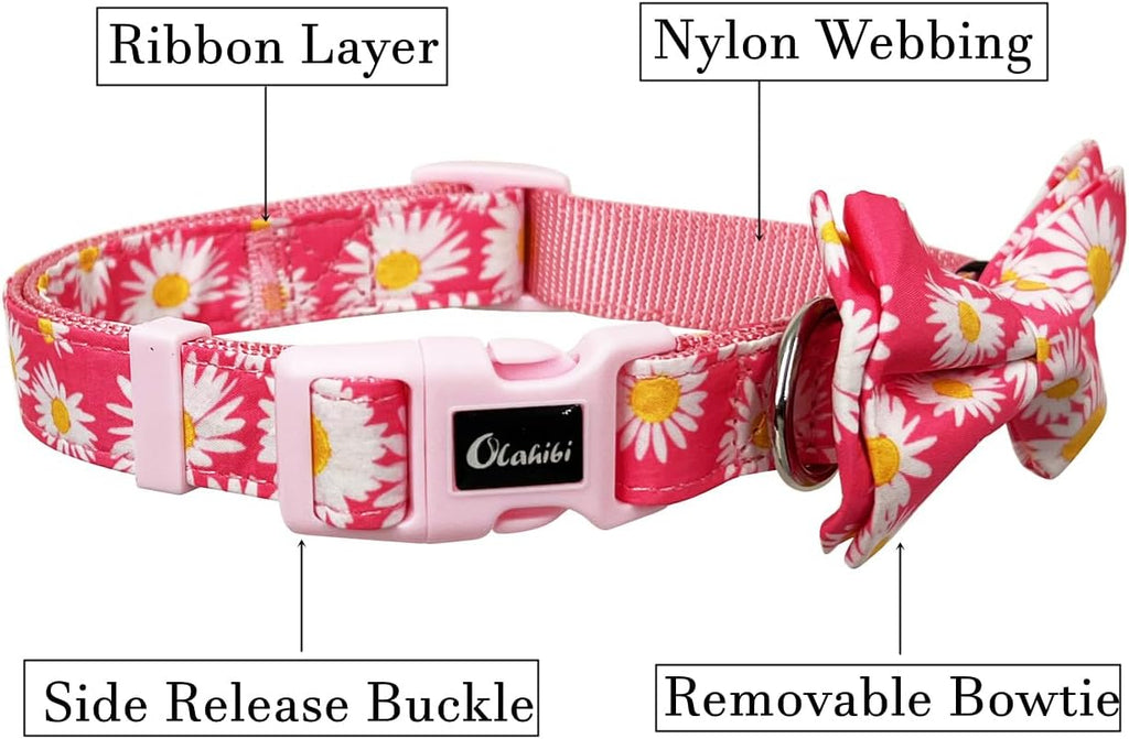 Olahibi Daisy Pattern Dog Collar and Leash | PetNestUK