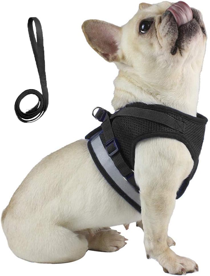 Anlitent Soft Mesh No Pull Cat Harness and Lead | PetNestUK