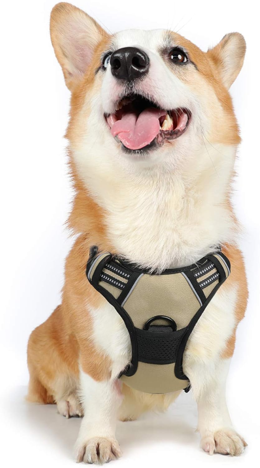 rabbitgoo Padded Dog Harness with Two Lead Clips