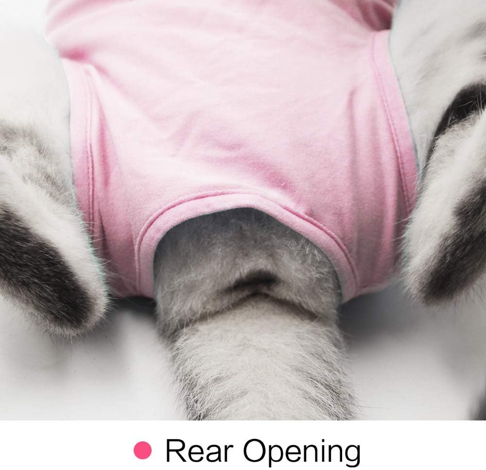 Cat Professional Recovery Suit for Abdominal | PetNestUK