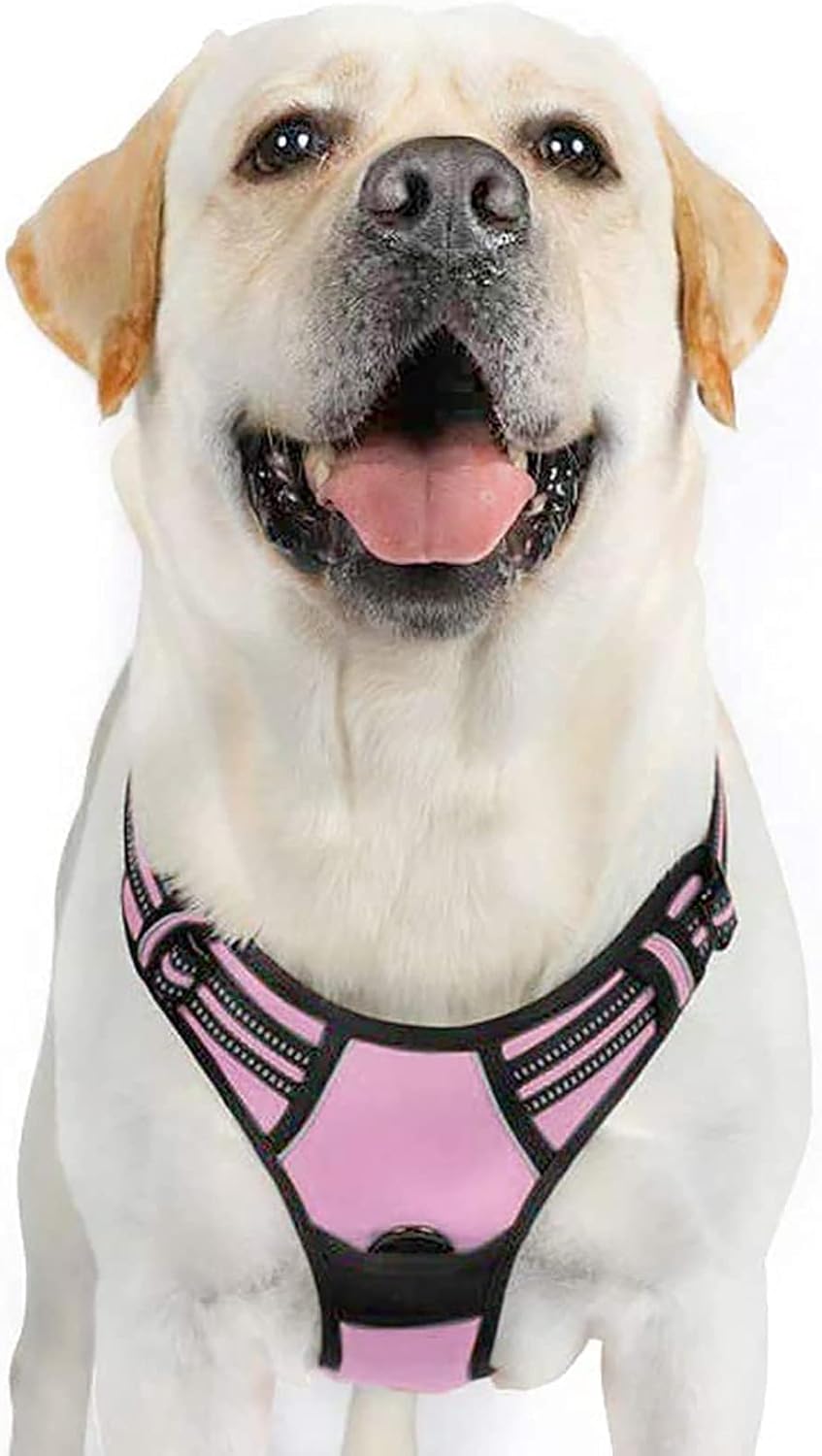 rabbitgoo Dog Harness Dog No Pull Pet Harness | PetNestUK