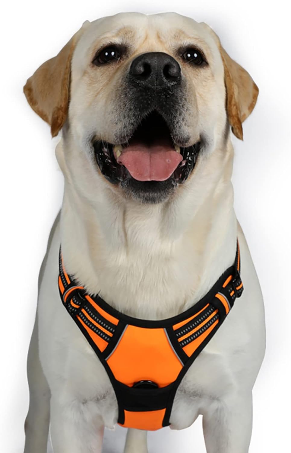 rabbitgoo Padded Dog Harness with Two Lead Clips