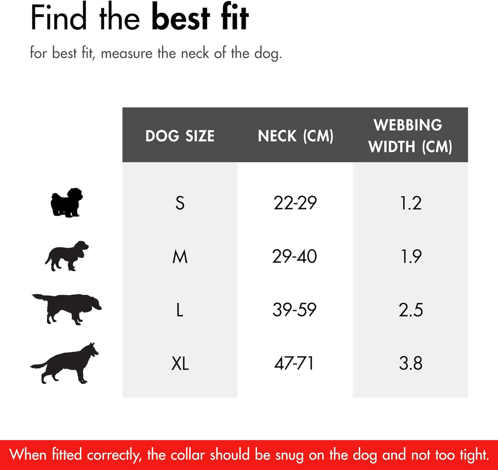 EZYDOG Double Up Dog Collar | PetNestUK