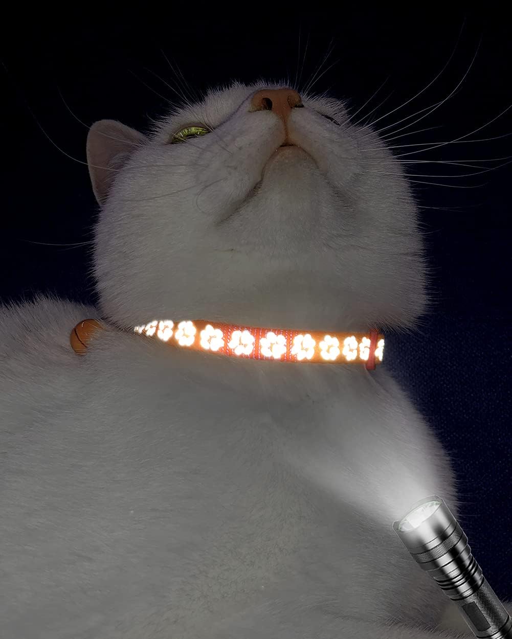 Taglory Reflective Cat Collar with Bell and | PetNestUK