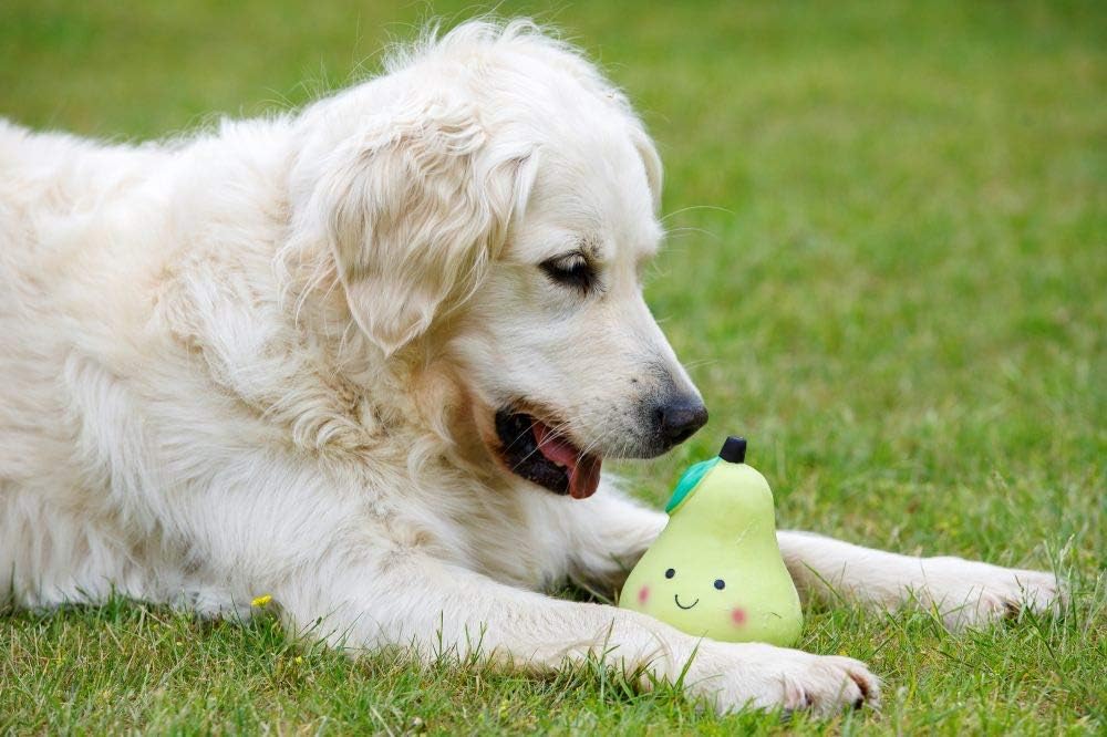 Petface Latex Apple Soft Chew Dog Toy, Large | PetNestUK