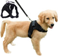 Dog Harness Mesh Breathable Comfortable Pet Vest | PetNestUK