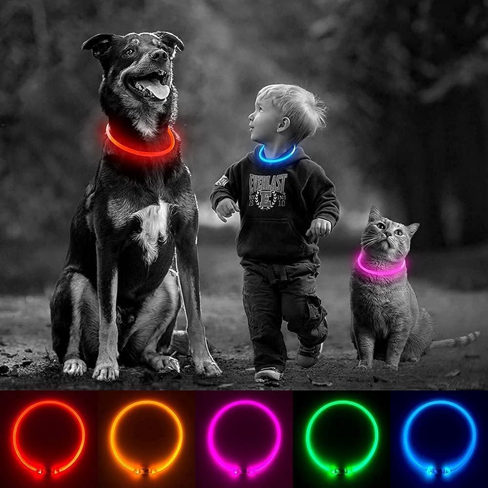 SerDa-Run Light Up Dog Collar, Dog Collar Lights | PetNestUK