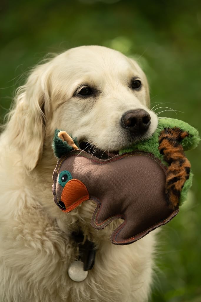 Petface Plush and Squeaky Dog Toys