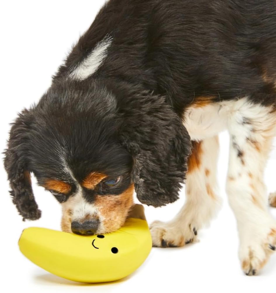 Petface Latex Apple Soft Chew Dog Toy, Large | PetNestUK