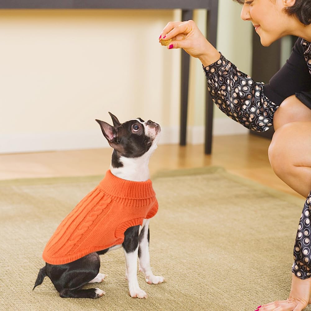 Small Dog Jumper, Warm Puppy Sweater for Small | PetNestUK