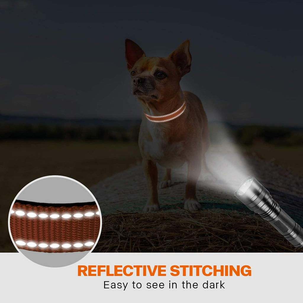 Taglory Reflective Nylon Dog Collar with Safety | PetNestUK