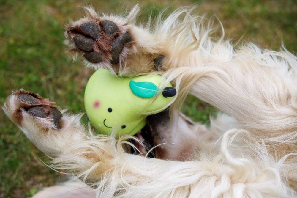 Petface Latex Apple Soft Chew Dog Toy, Large | PetNestUK
