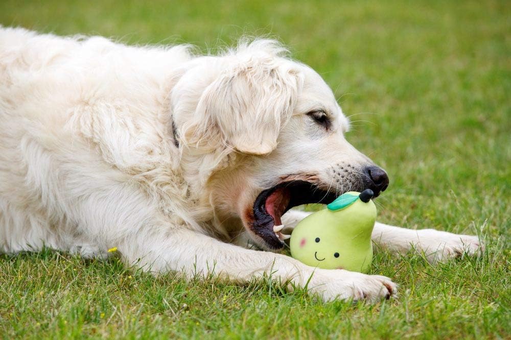 Petface Latex Fruit and Vegetable Dog Toys