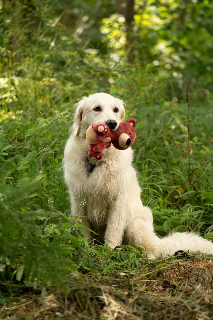 Petface Plush and Squeaky Dog Toys