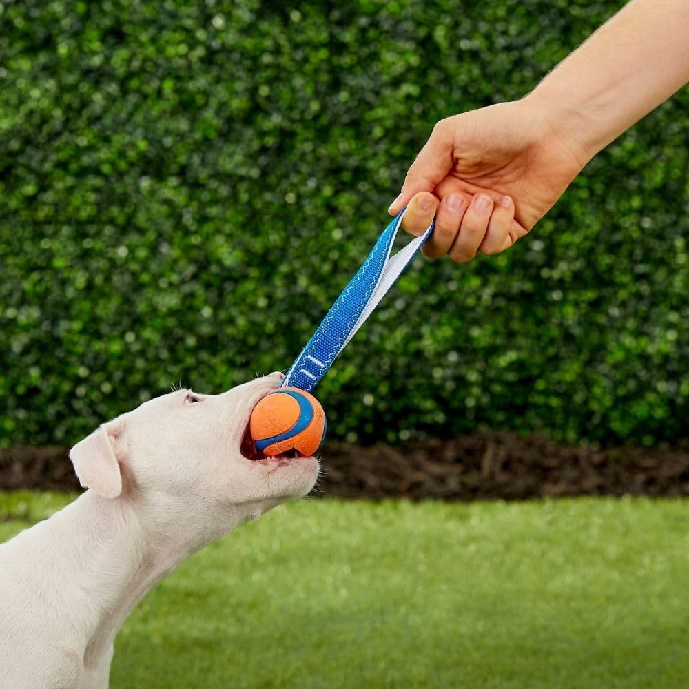 Chuckit! Ultra Tug Dog Toy With Rubber Ball Tug | PetNestUK