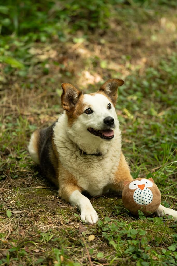 Petface Plush and Squeaky Dog Toys