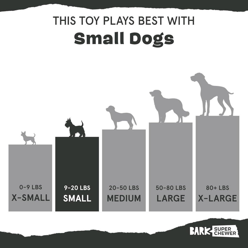 BarkBox Squeaky Plush Dog Toys