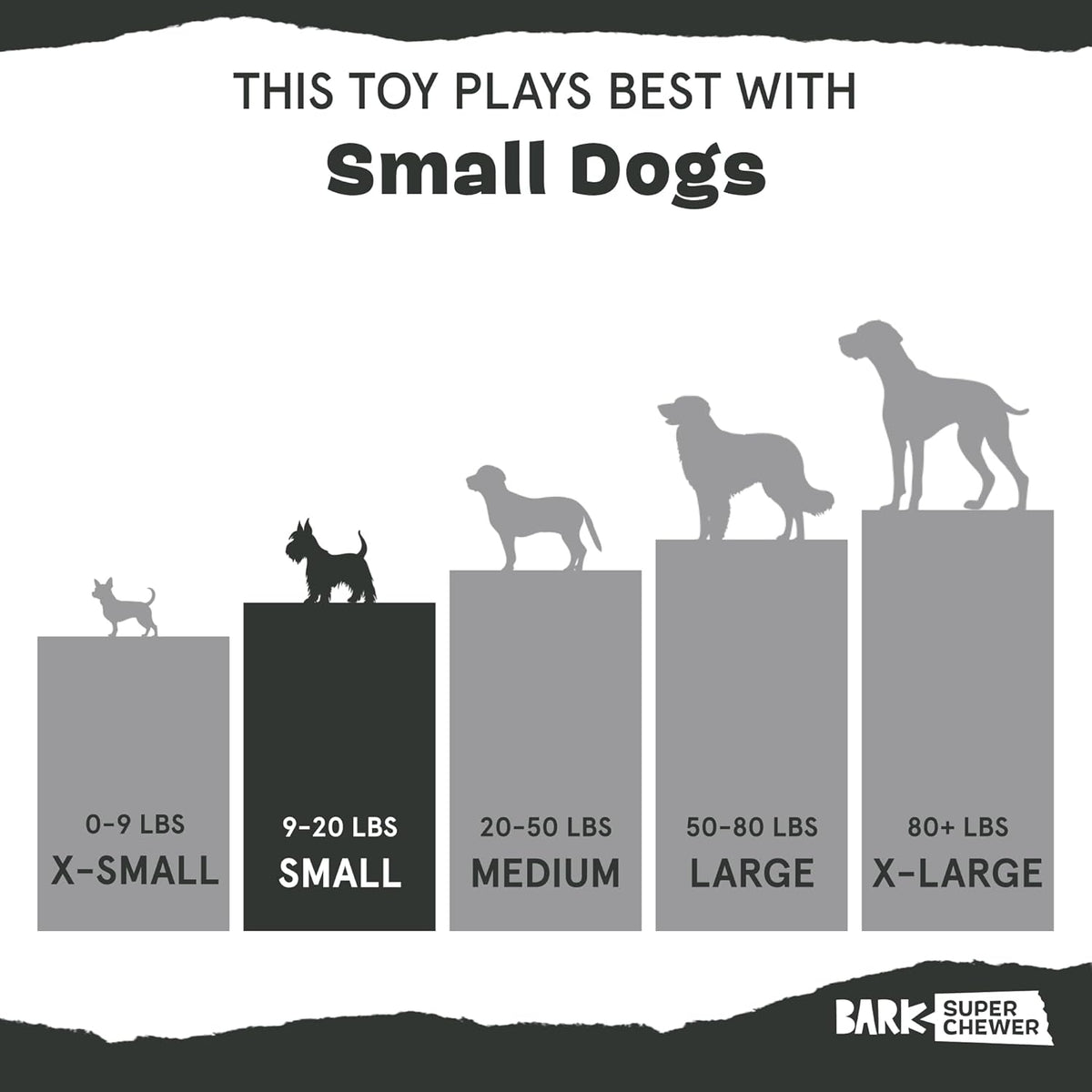 BarkBox Squeaky Plush Dog Toys