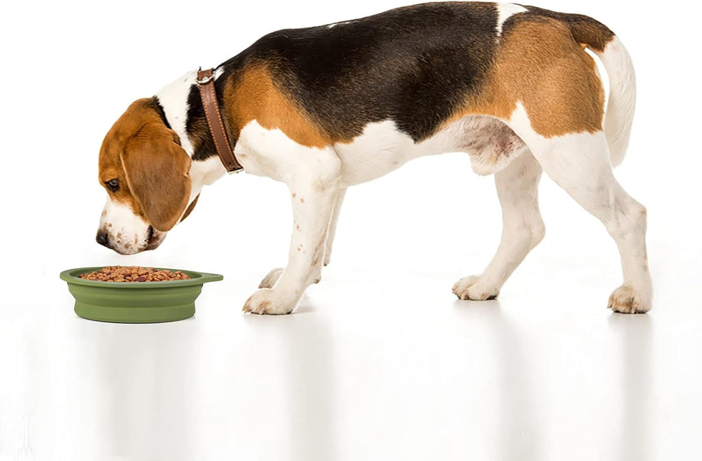 SLSON 2 Pack Dog Collapsible Bowl Large Portable | PetNestUK