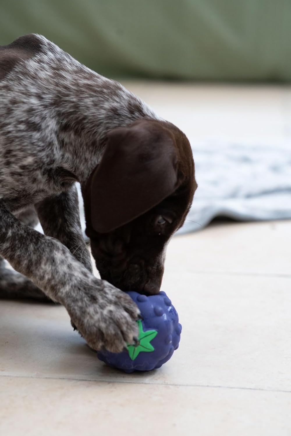 Petface Latex Fruit and Vegetable Dog Toys