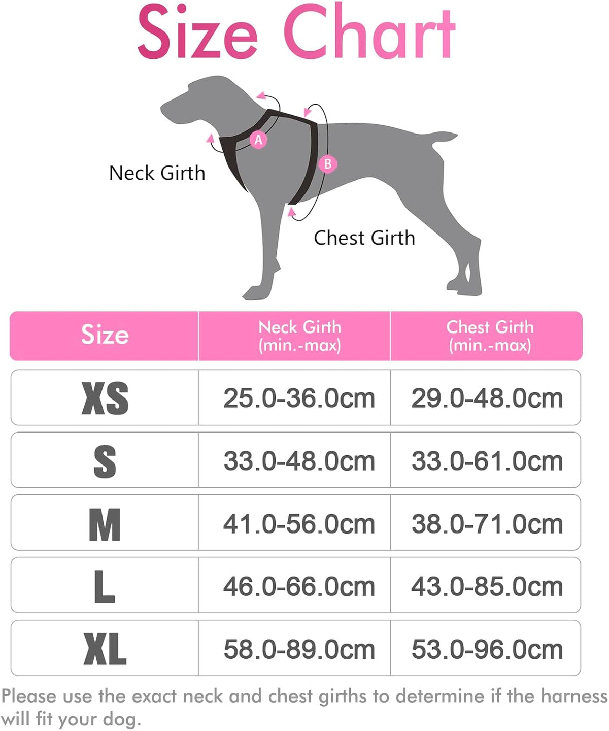 rabbitgoo Padded Dog Harness with Two Lead Clips