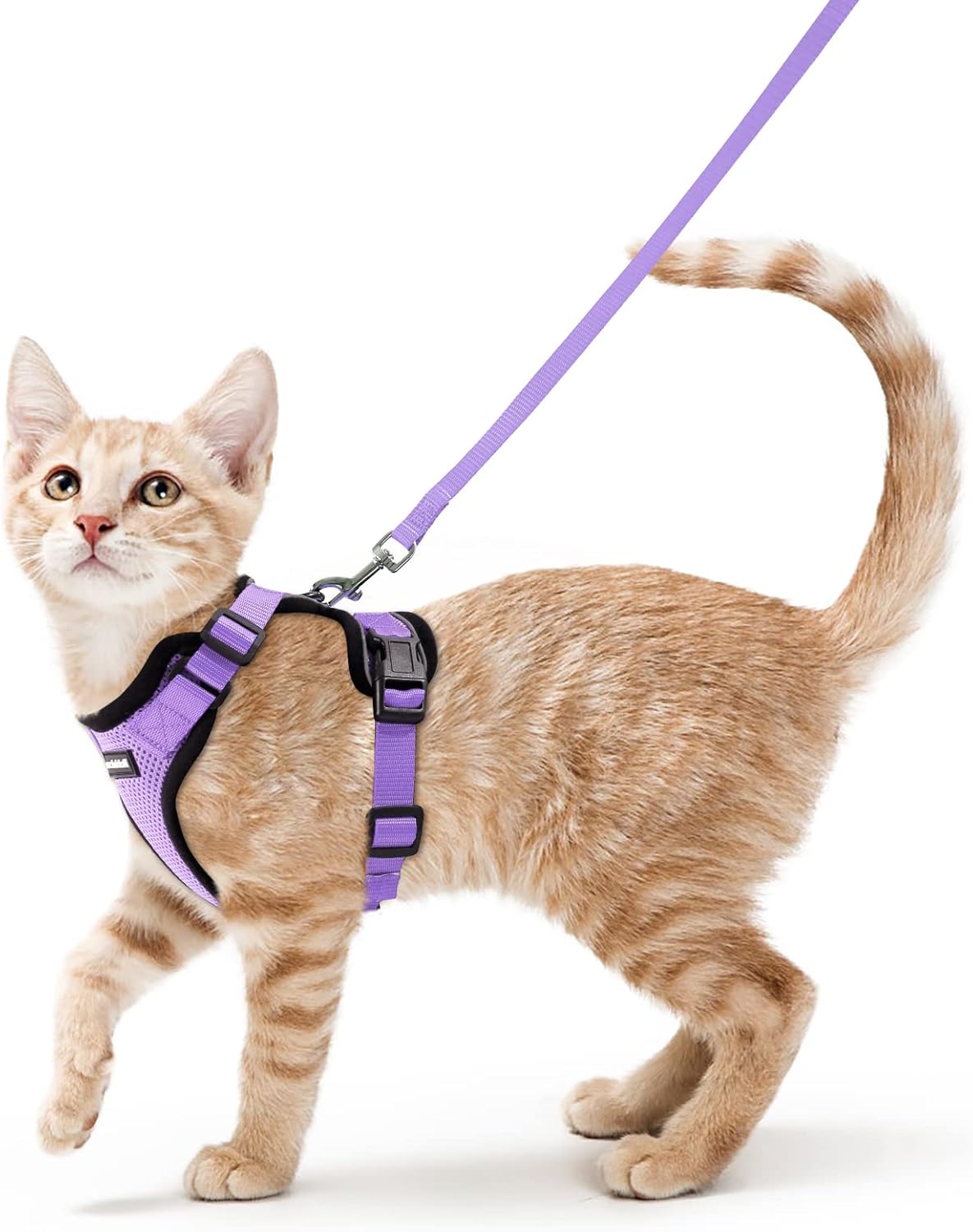 rabbitgoo Cat Harness and Lead Set, Escape Proof | PetNestUK
