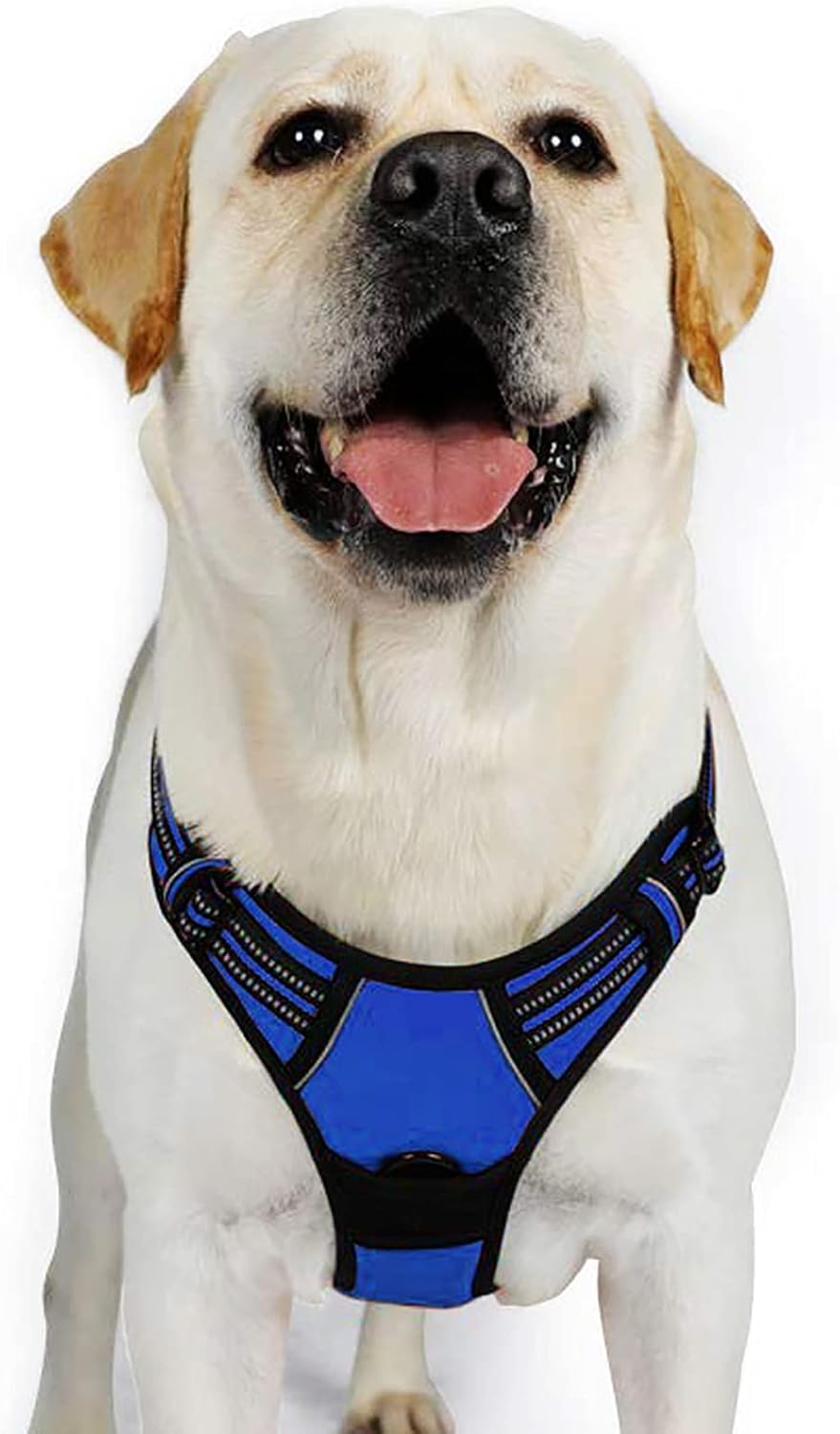 rabbitgoo Dog Harness Dog No Pull Pet Harness | PetNestUK