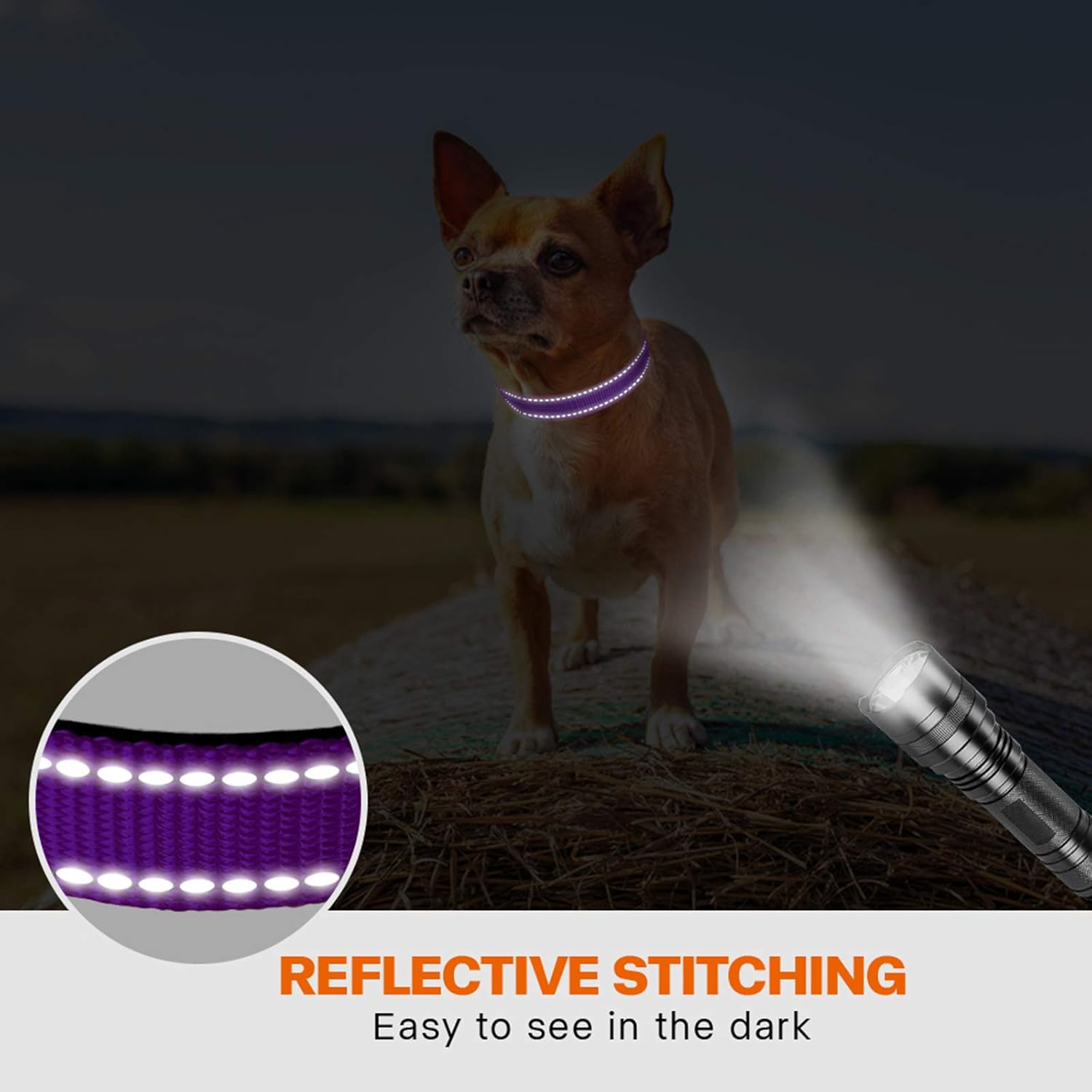 Taglory Reflective Nylon Dog Collar with Safety | PetNestUK