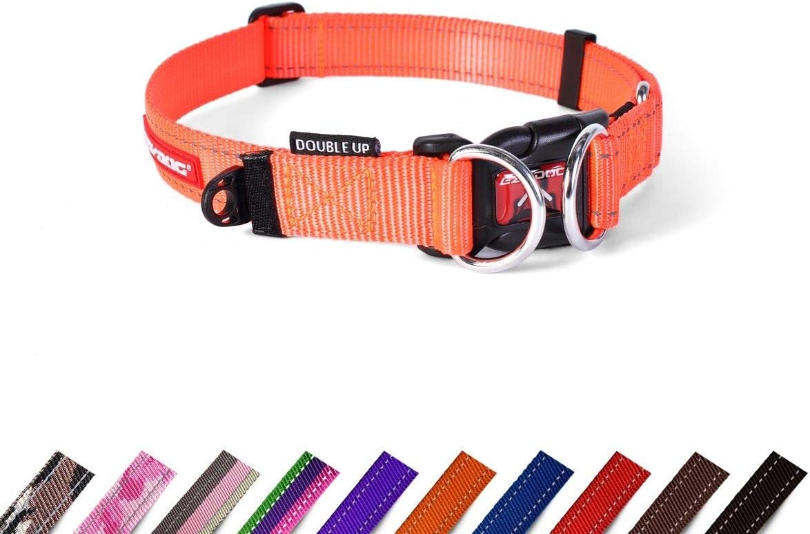 EZYDOG Double Up Dog Collar | PetNestUK