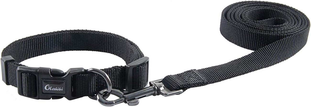 Olahibi Daisy Pattern Dog Collar and Leash | PetNestUK