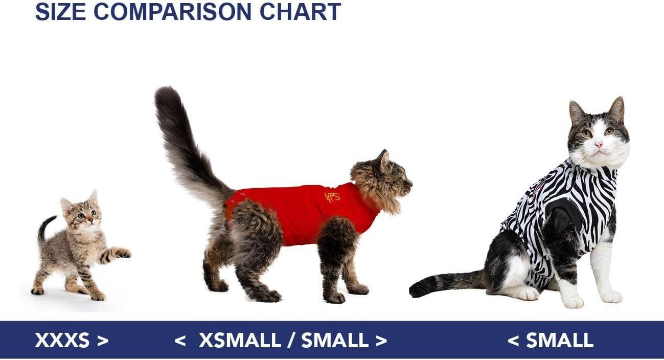 MPS Medical Pet Shirt Cat, Surgery Recovery | PetNestUK