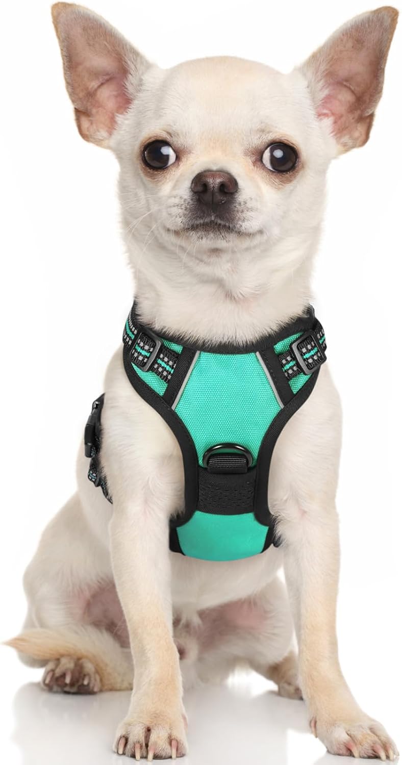 rabbitgoo Padded Dog Harness with Two Lead Clips