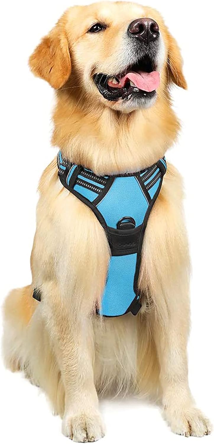 rabbitgoo Dog Harness Dog No Pull Pet Harness | PetNestUK