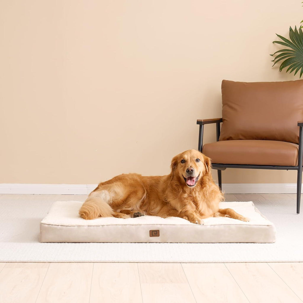 EHEYCIGA Orthopedic Dog Beds Small, Medium, | PetNestUK