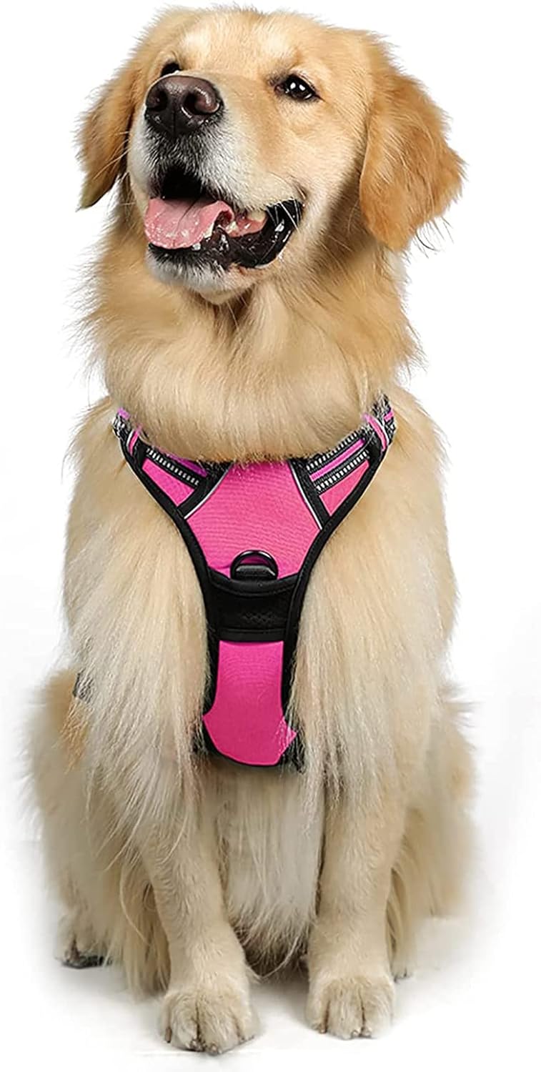 rabbitgoo Dog Harness Dog No Pull Pet Harness | PetNestUK