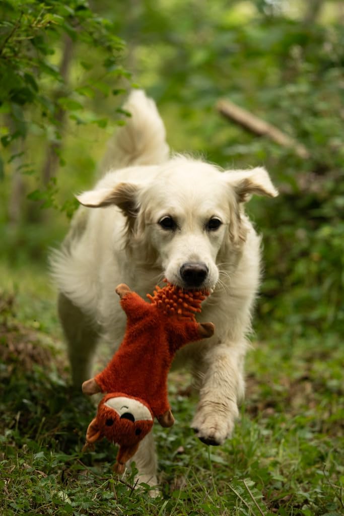 Petface Plush and Squeaky Dog Toys